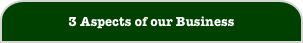 3 Aspects of our Business